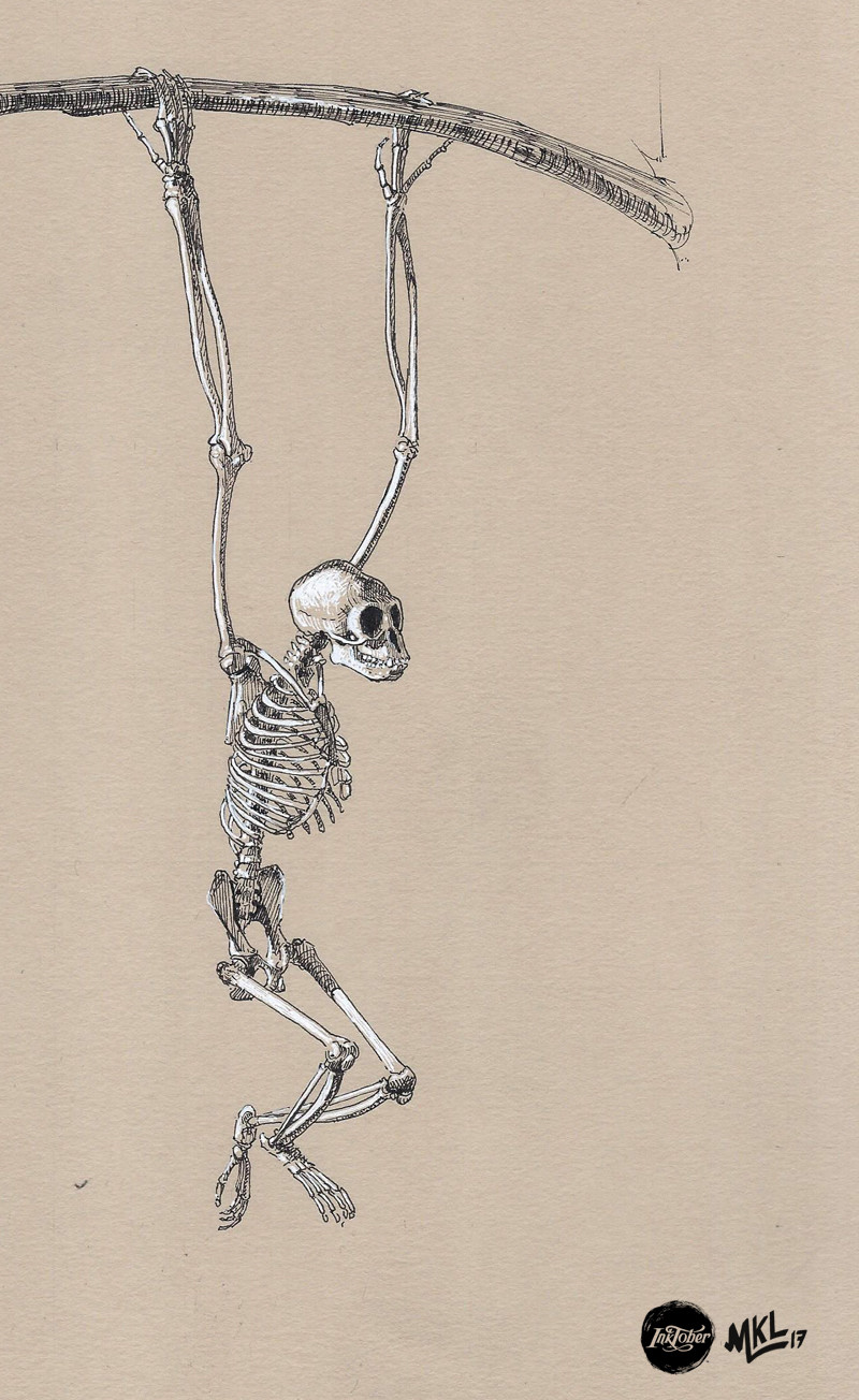 Inktober Day 23 : Gibbon skeleton study