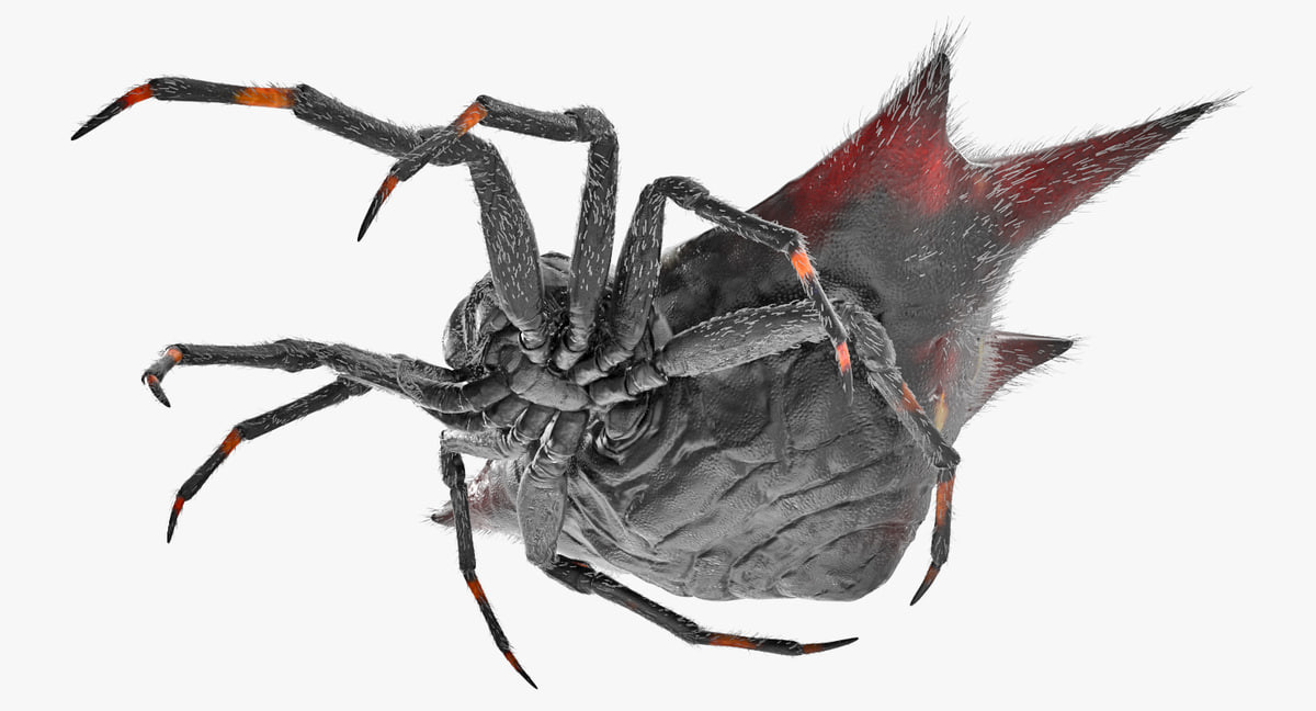 Exclusive Flesh And Blood Rainbow Foil Orb-Weaver Spinneret