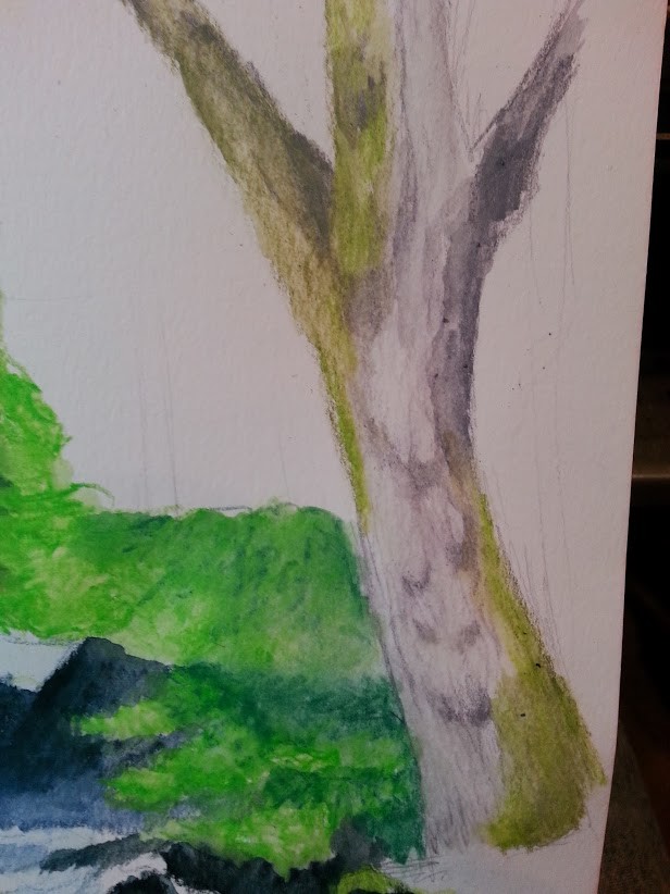 Drawing in the tree on the left side with it's moss