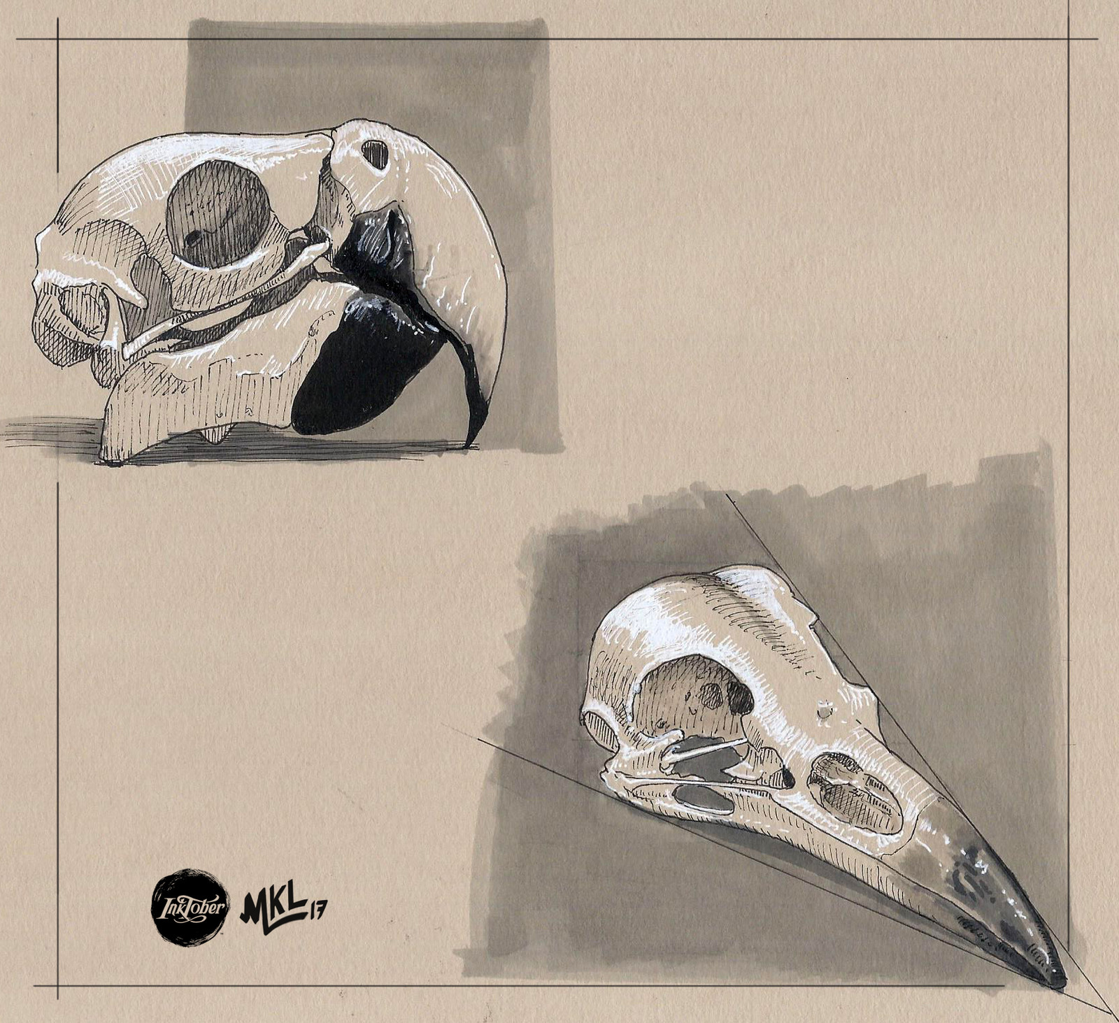 Inktober Day 27 : TWo bird skulls
