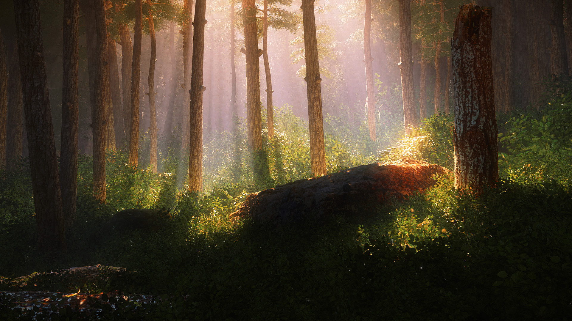 Ted Mebratu Nature Scene 3
