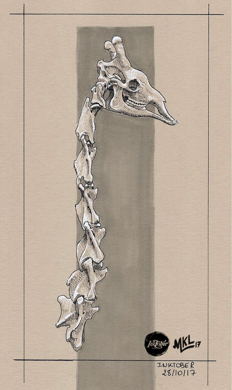 Inktober Day 28 : girafe skull + neck