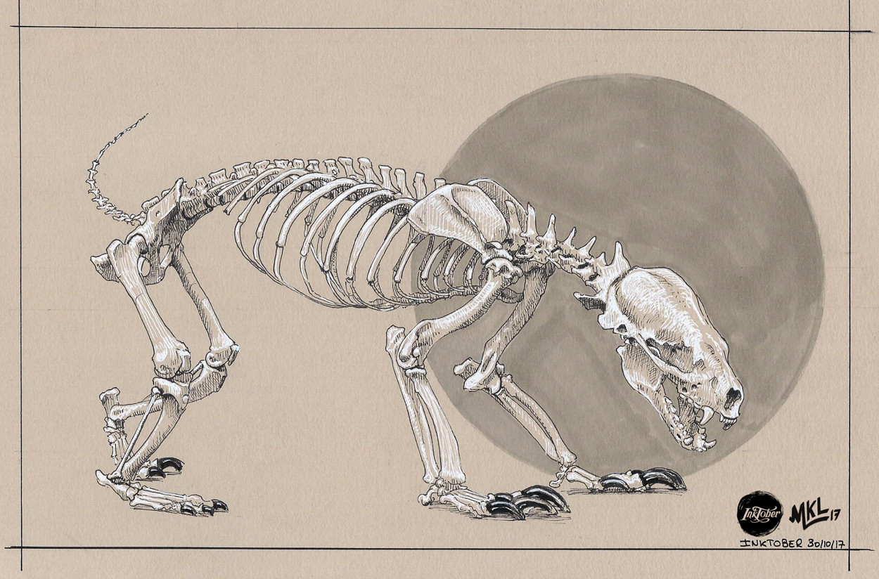 Inktober Day 30 :  honey badger skeleton