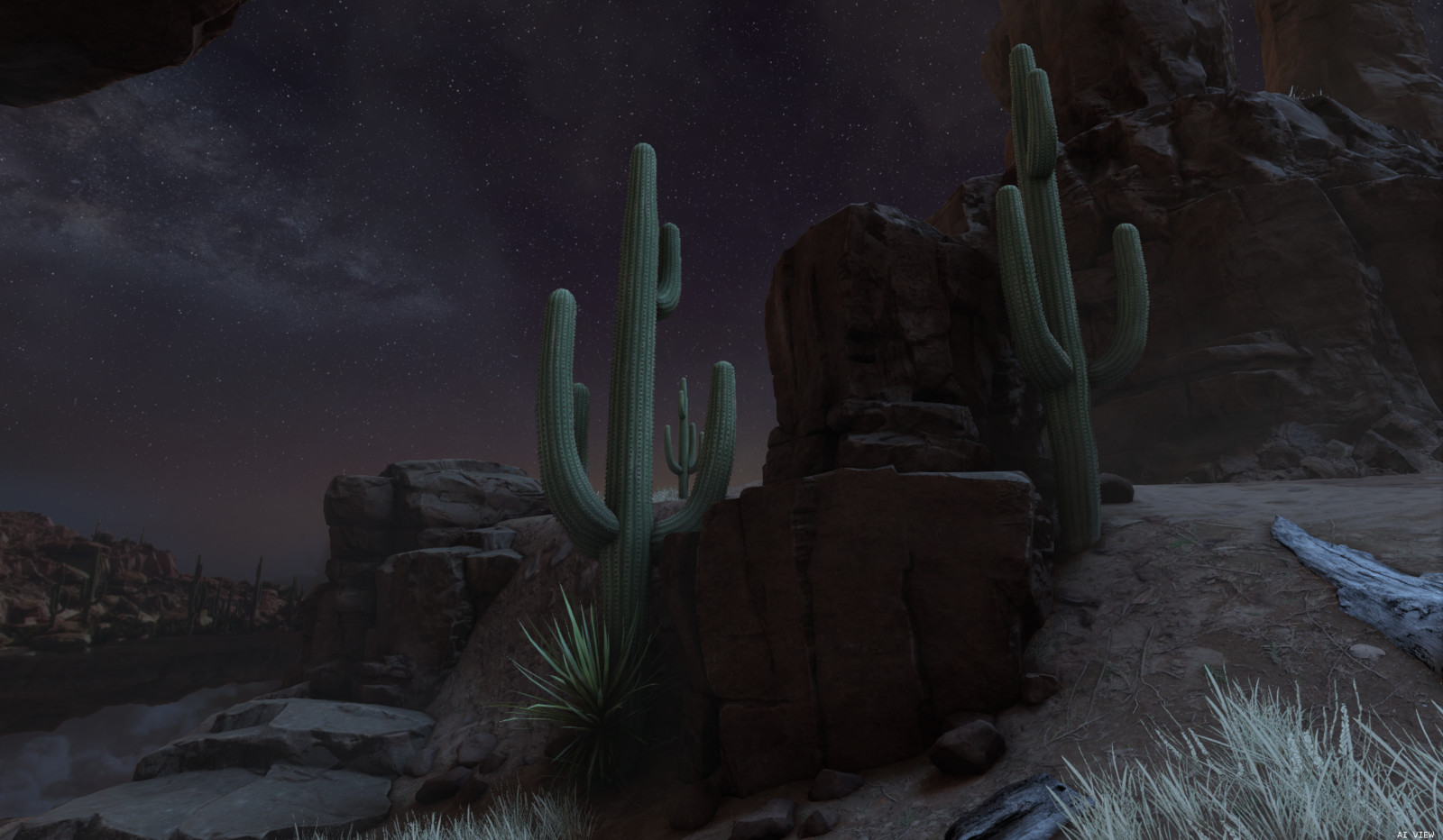 Yucca and Saguaro