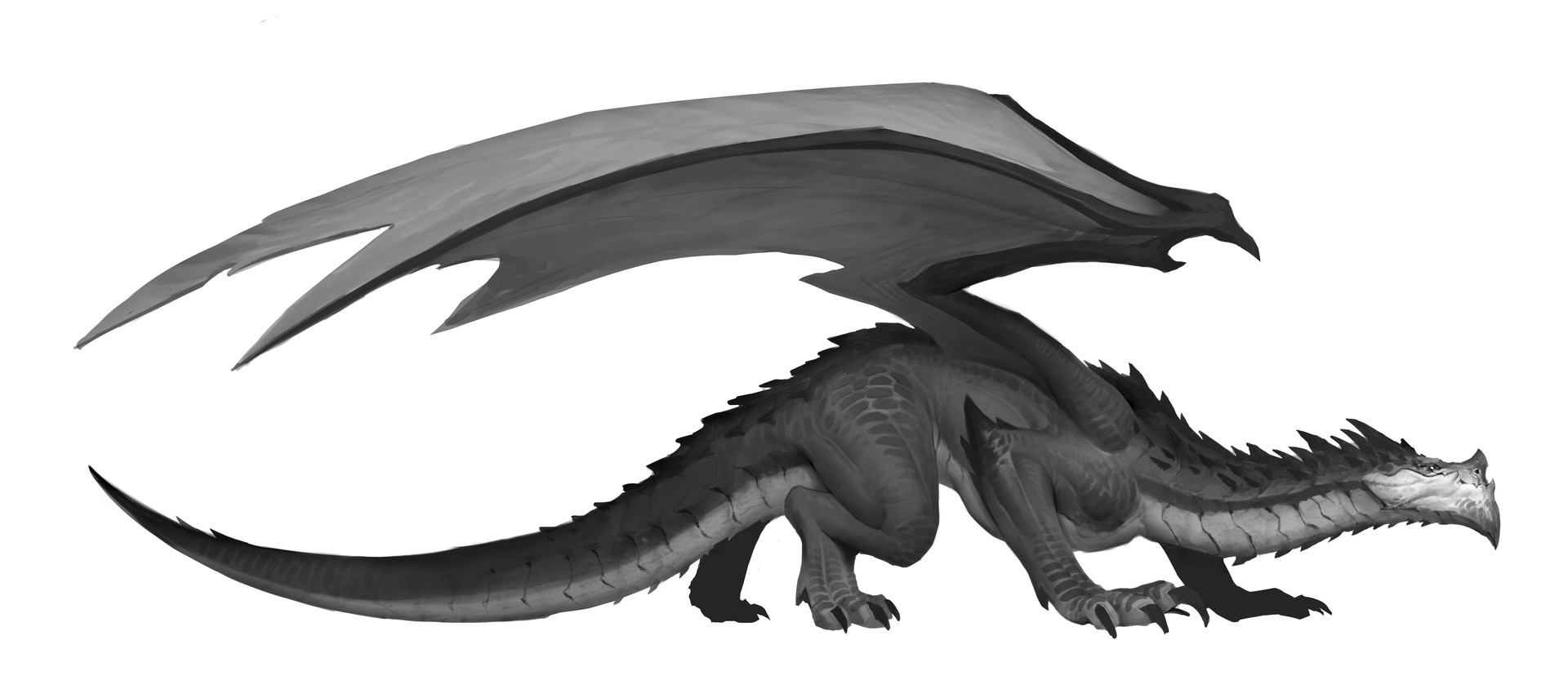 Ryan Metcalf Storm Dragon