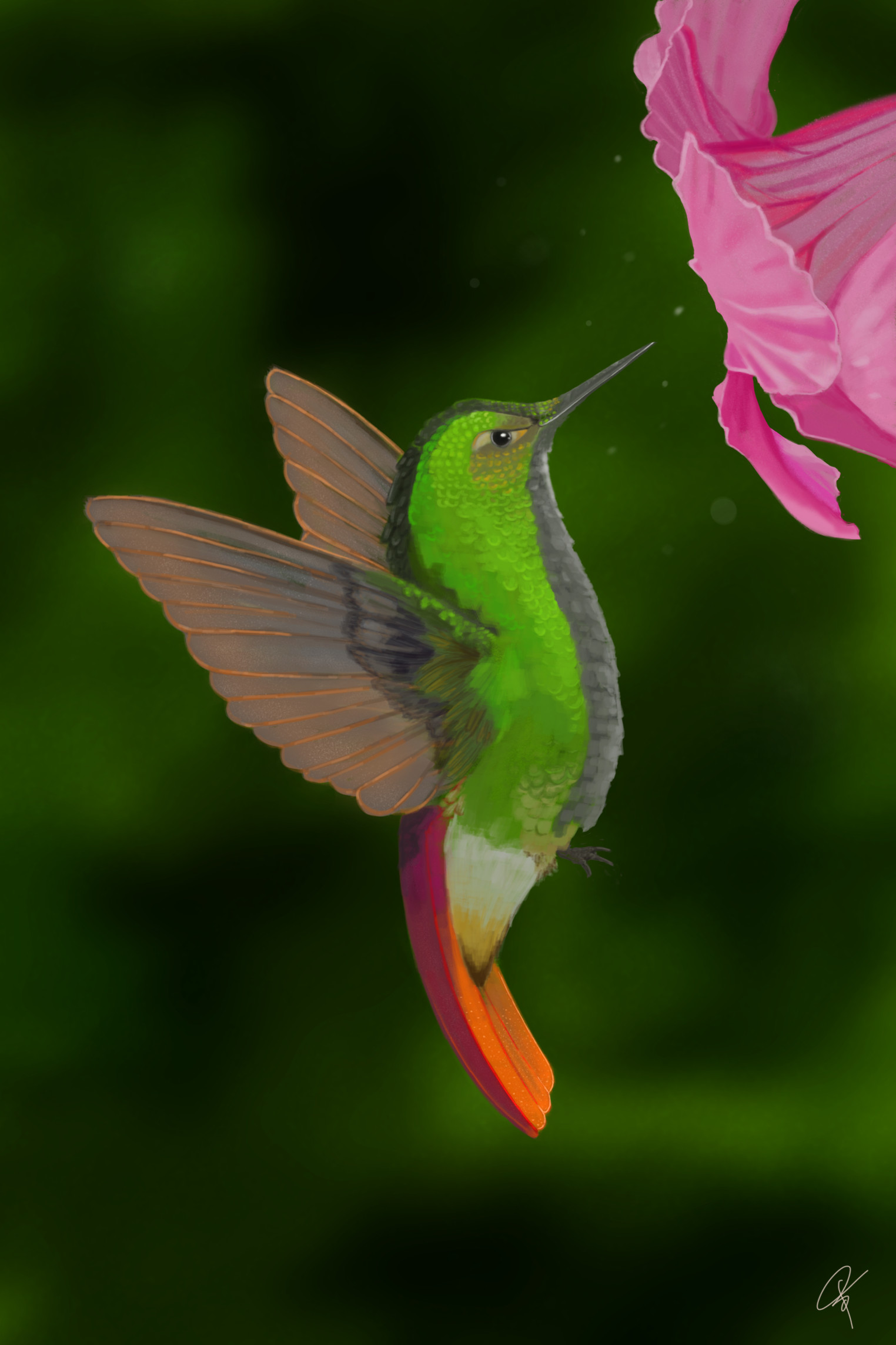 Hummingbird (digital painting). 