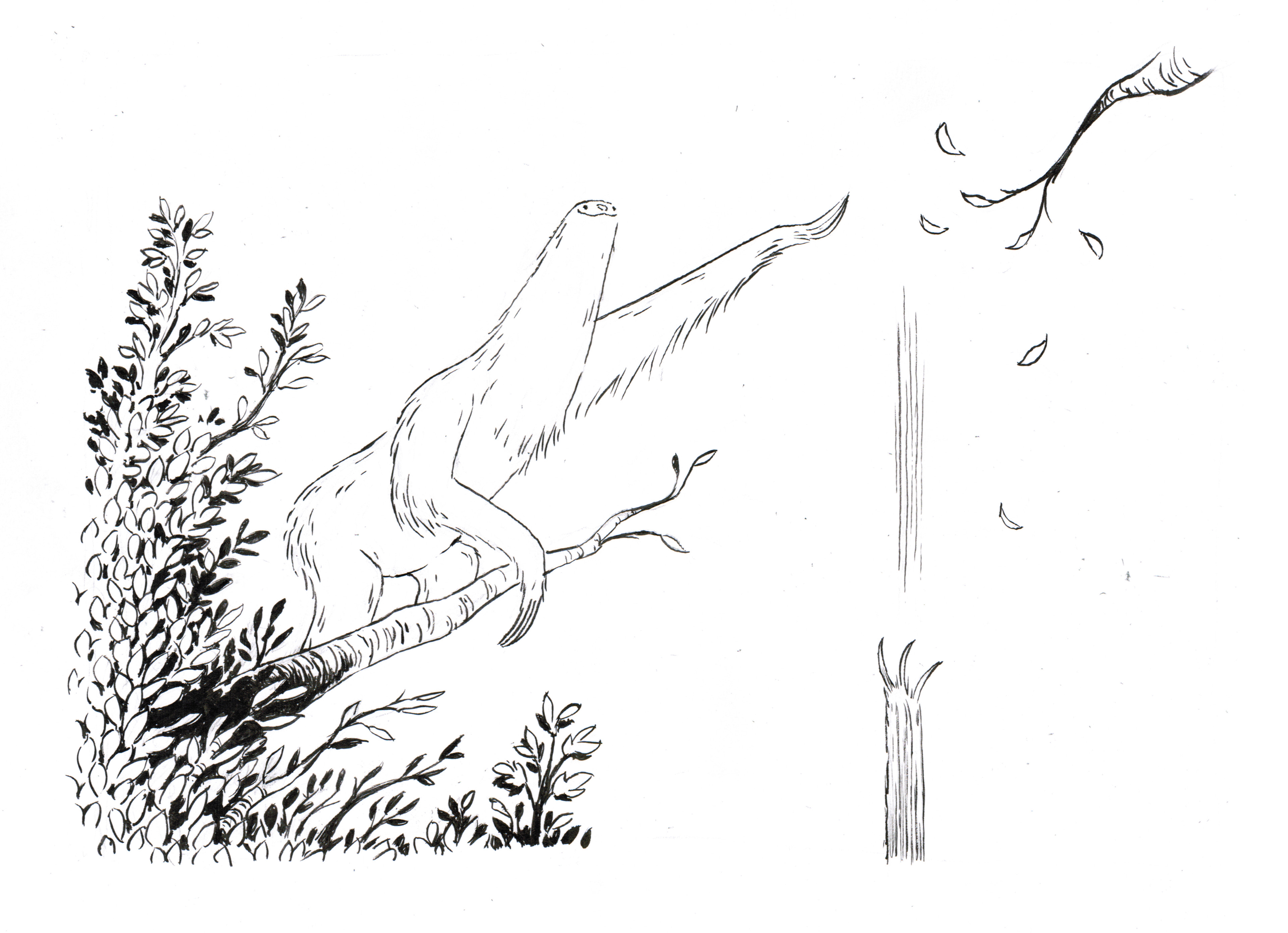 Inktober 2017 #28 Fall Linework
