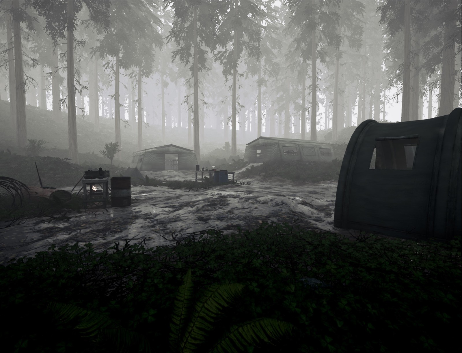 Overcast/foggy weather
