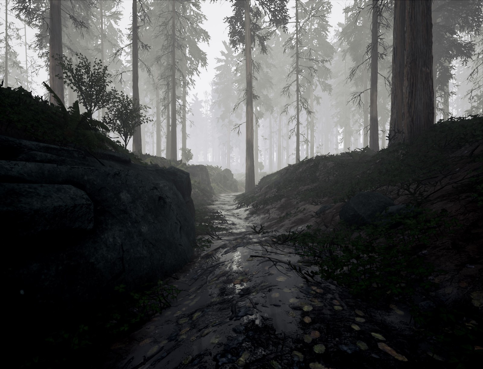 Trail