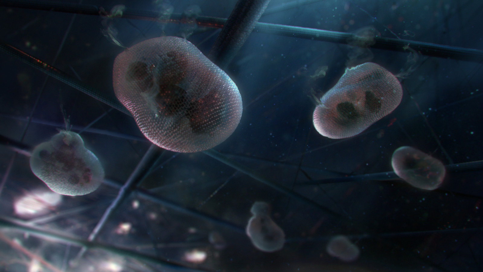  Our Secret Universe: The Hidden Life of the Cell (2012)