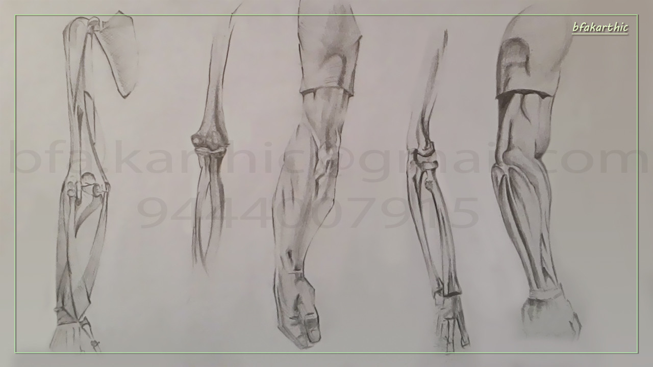 Artstation Medical Work Digital Paint Pencil Sketch Karthikeyan P,How To Draw Anime Girl Clothes