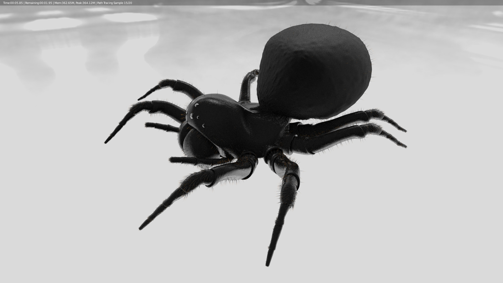 Spider Side