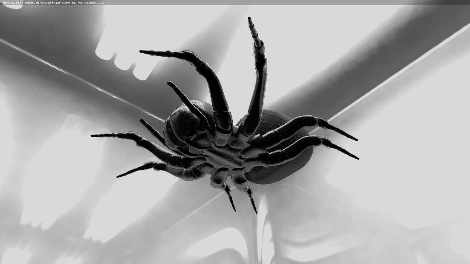 Spider Bottom