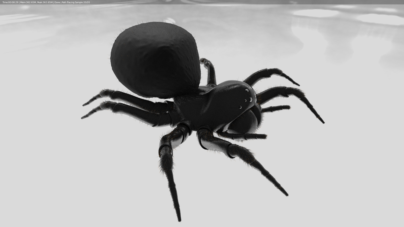 Spider Side