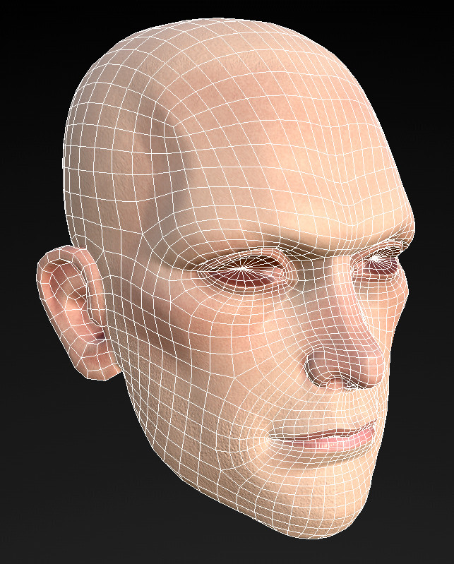 Shawn witt headtopology