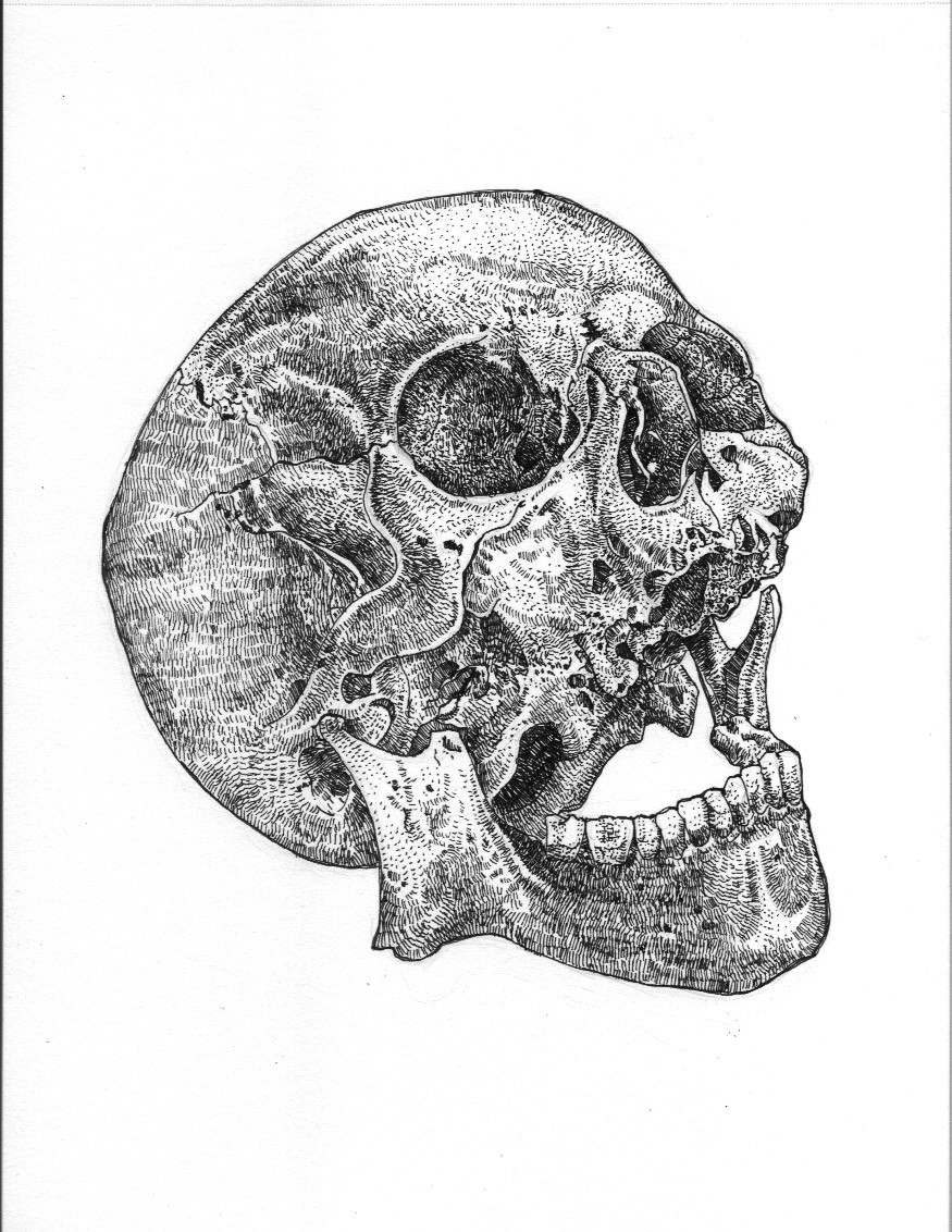 Самый древний череп человека. Череп с пулевым отверстием.