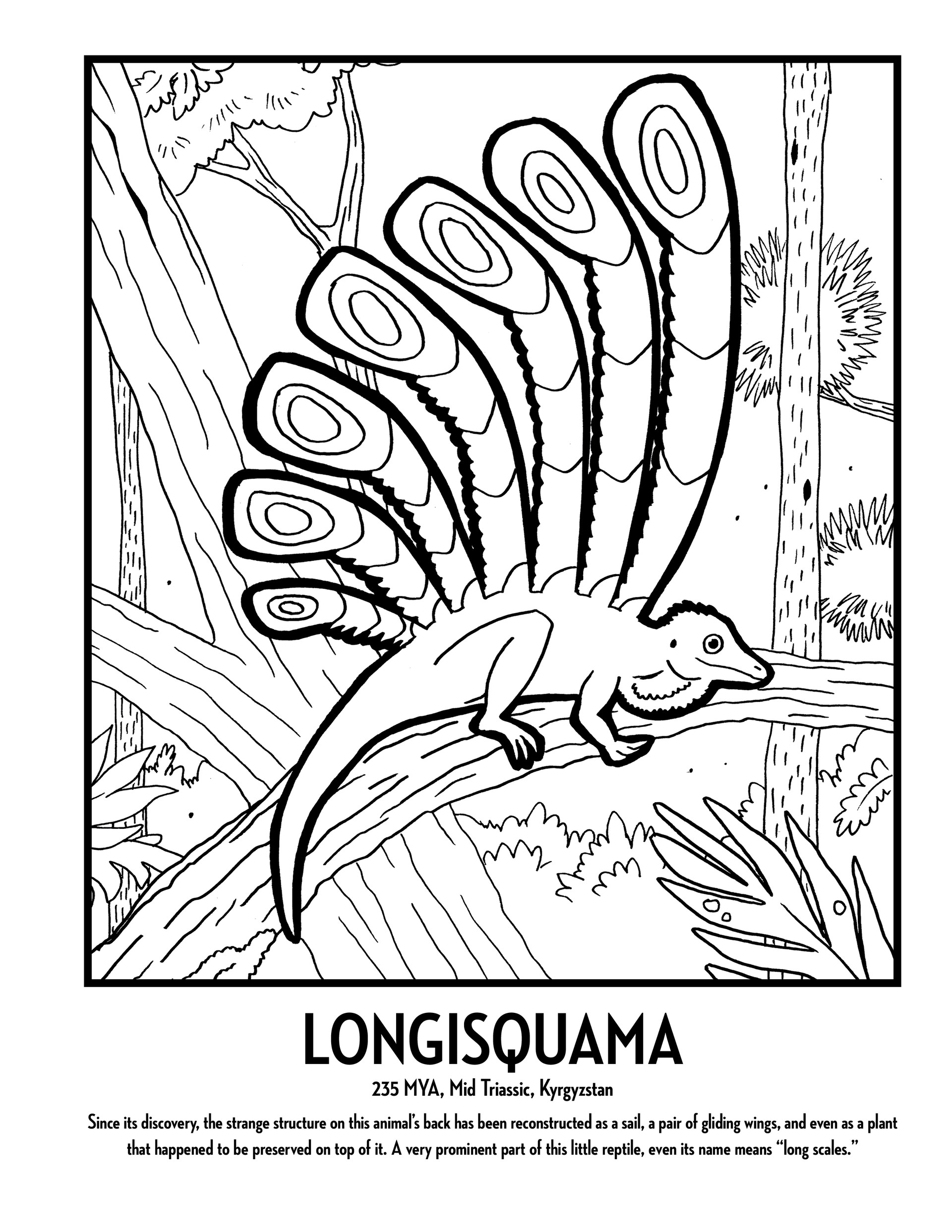 Paleofauna Coloring Book: Educational Book about Dinosaurs for Kids ages 6-8.  101 Unique Illustrations of Prehistoric Animals. Page Size 8.5 X 1  (Paperback)