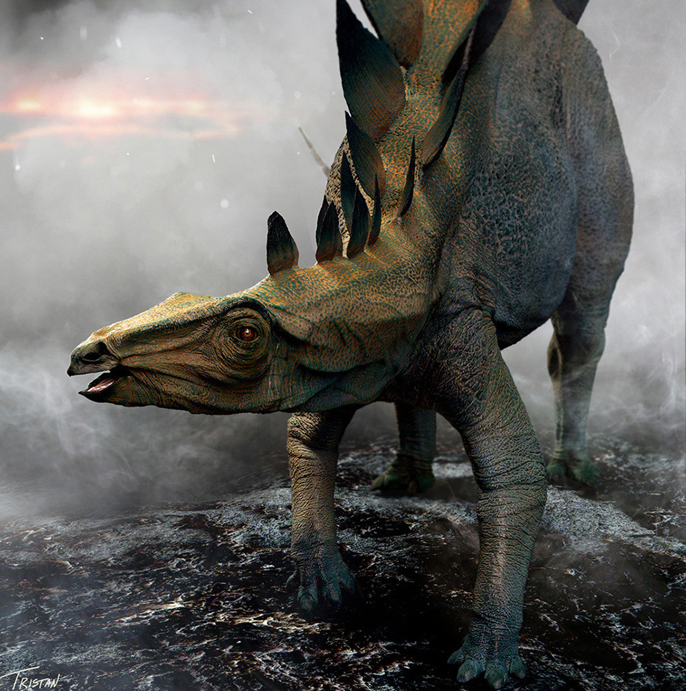 stegosaurus art project