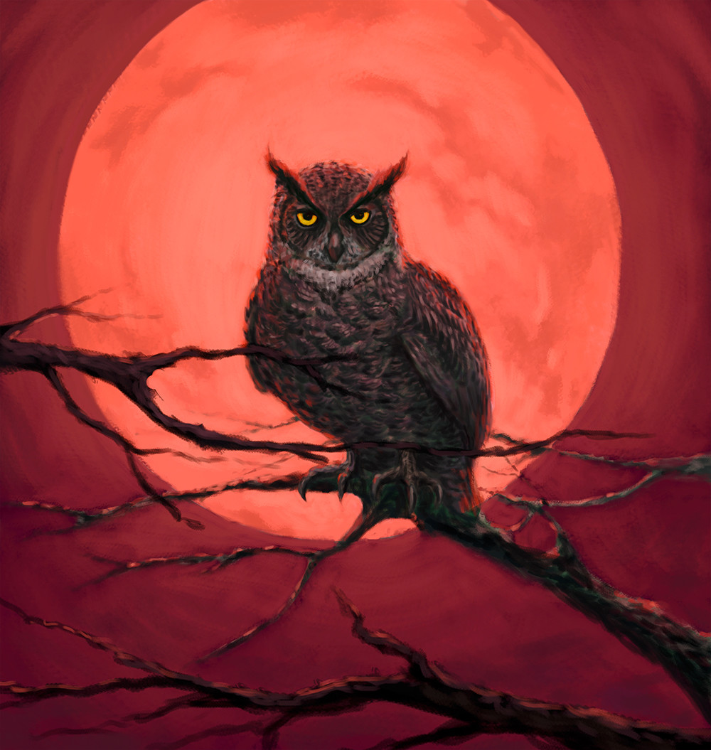 Blood Moon Owl Tin Sign 8x10