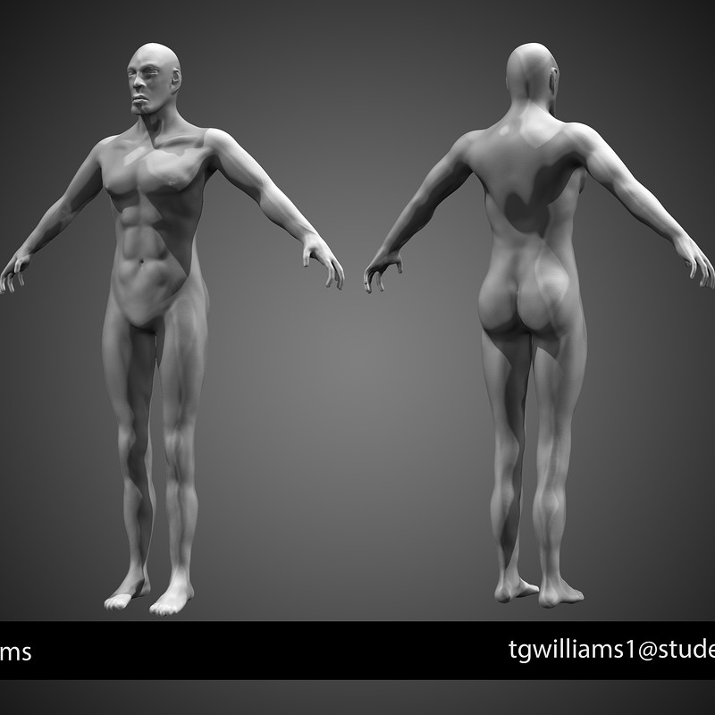 Full Body From Reference