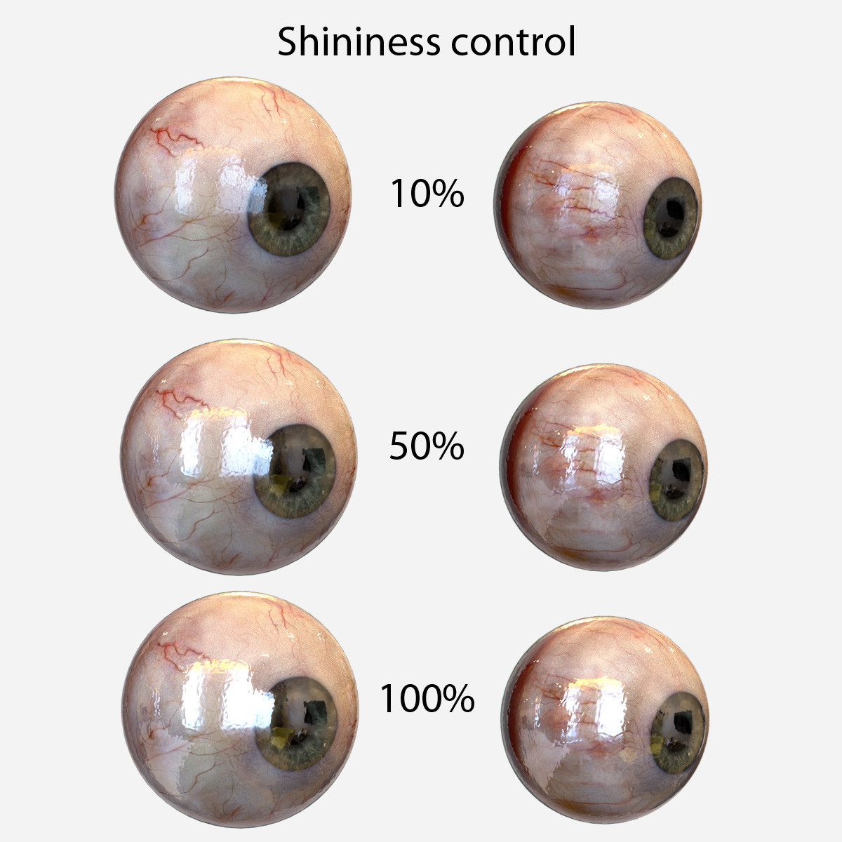 human eyeball cut in half