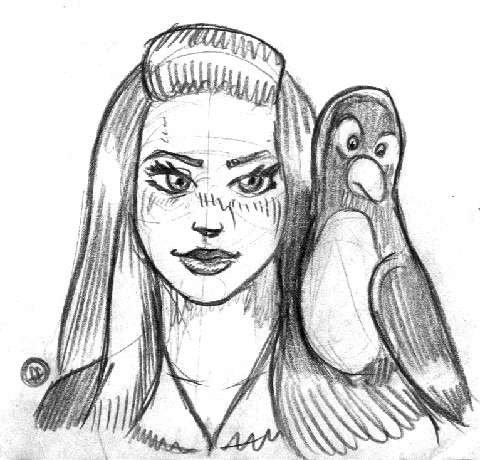 Sketch