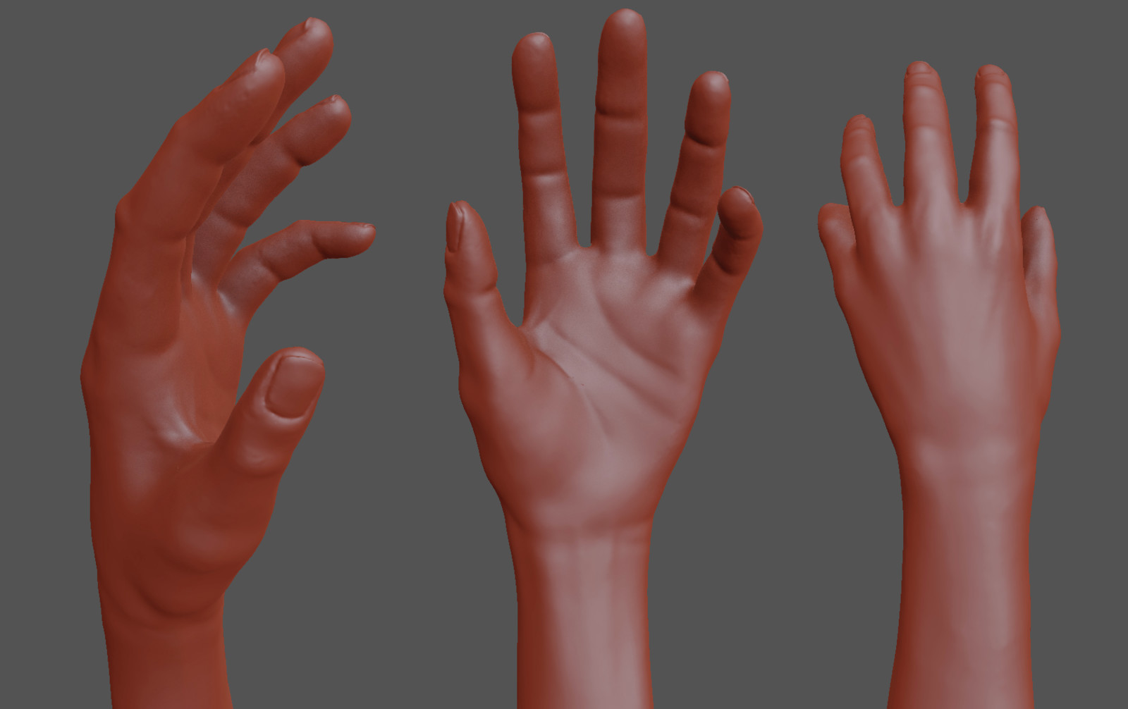 hand study