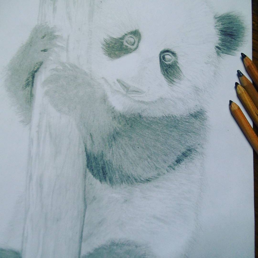 ArtStation - Random Draw #6 Panda