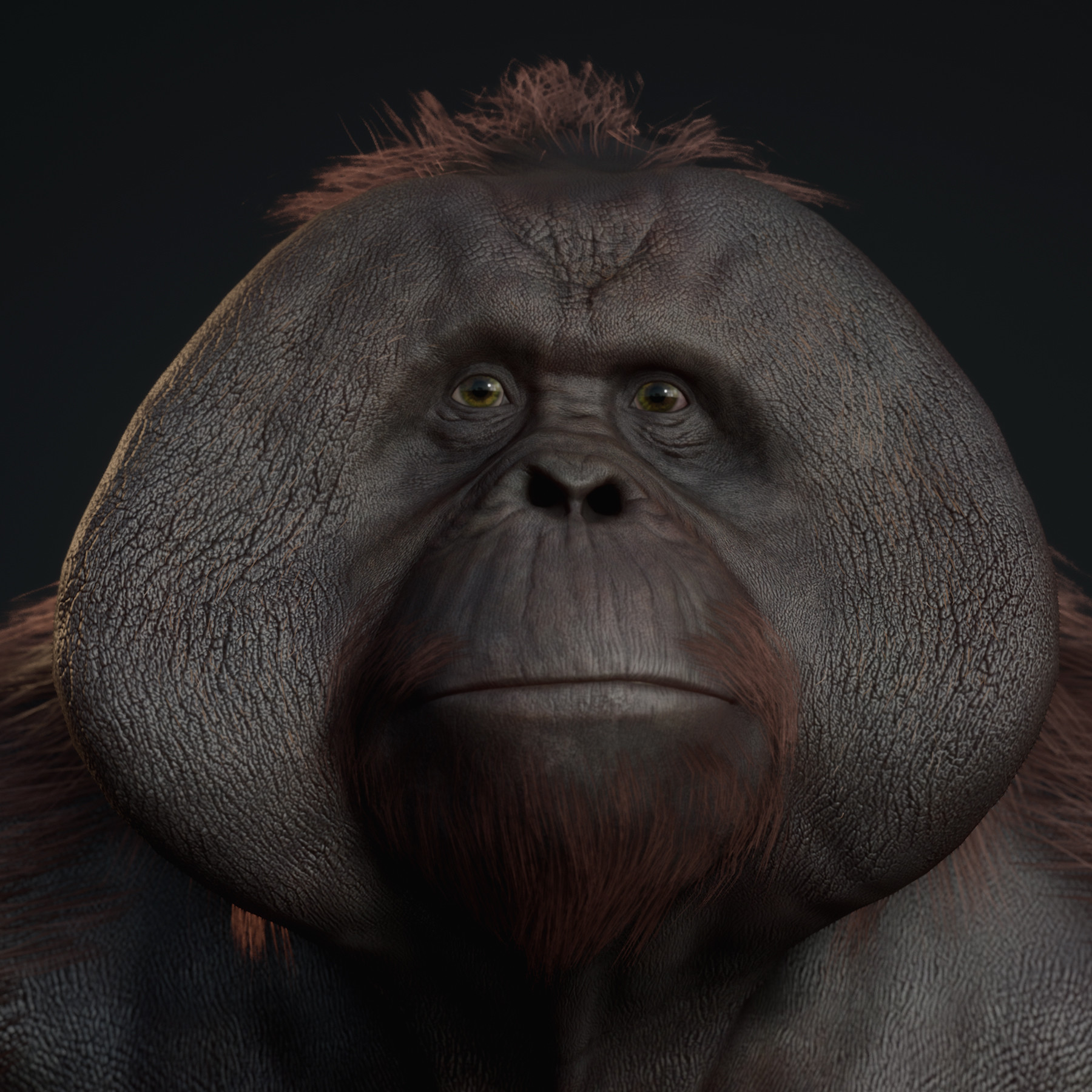【本物保証】 Of Planet - kidd ryan The Clarence - Frontier Last Apes: アメコミ