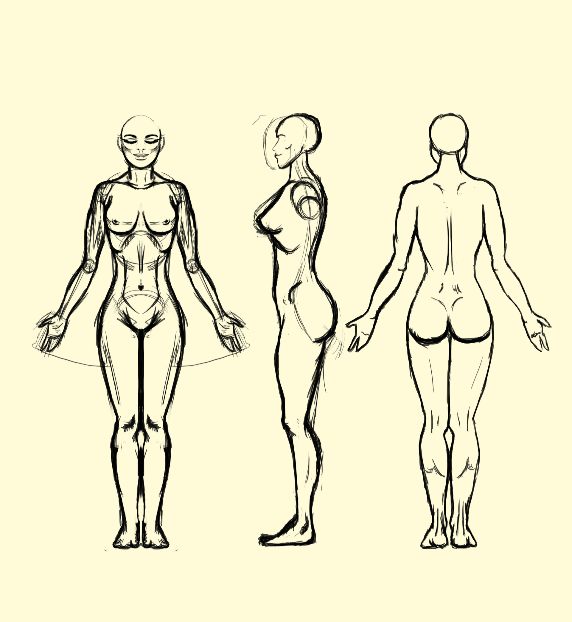Artstation Human Body Anatomy Jessica Penalver Palma