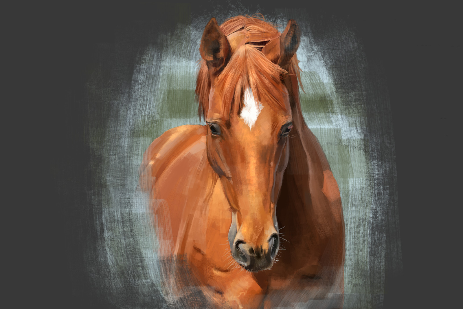 Chesnut Morgan horse.