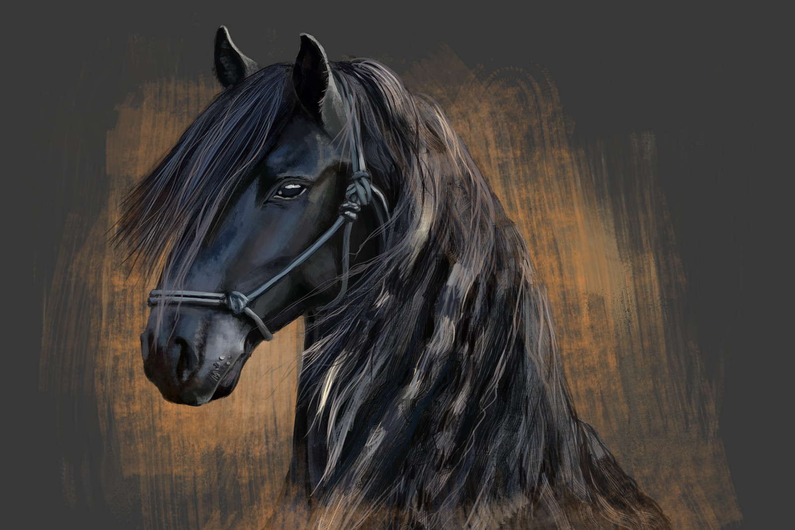 Friesian horse.