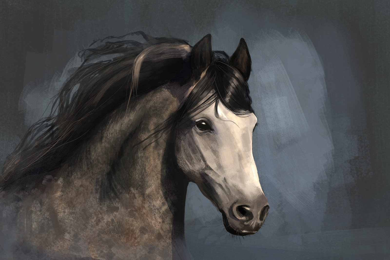 Andalusian horse. (My favorite breed)