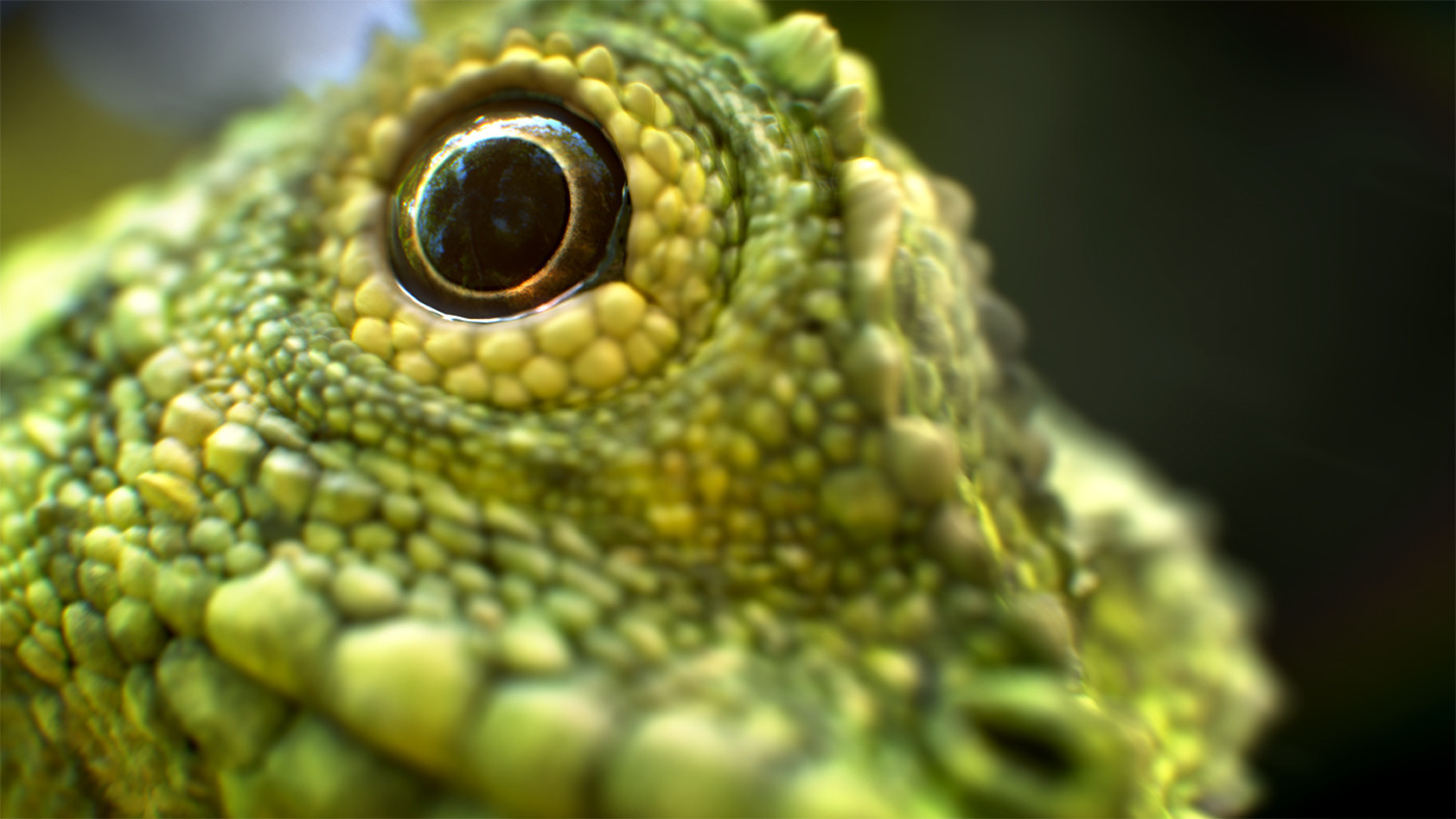 Draco Lizard