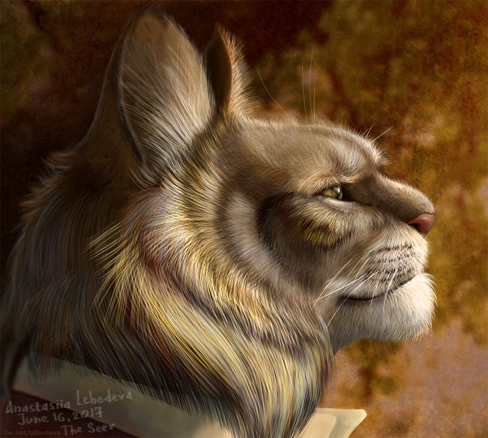 Artstation The Seer Cat Digital Painting Anastasiia Lebedeva
