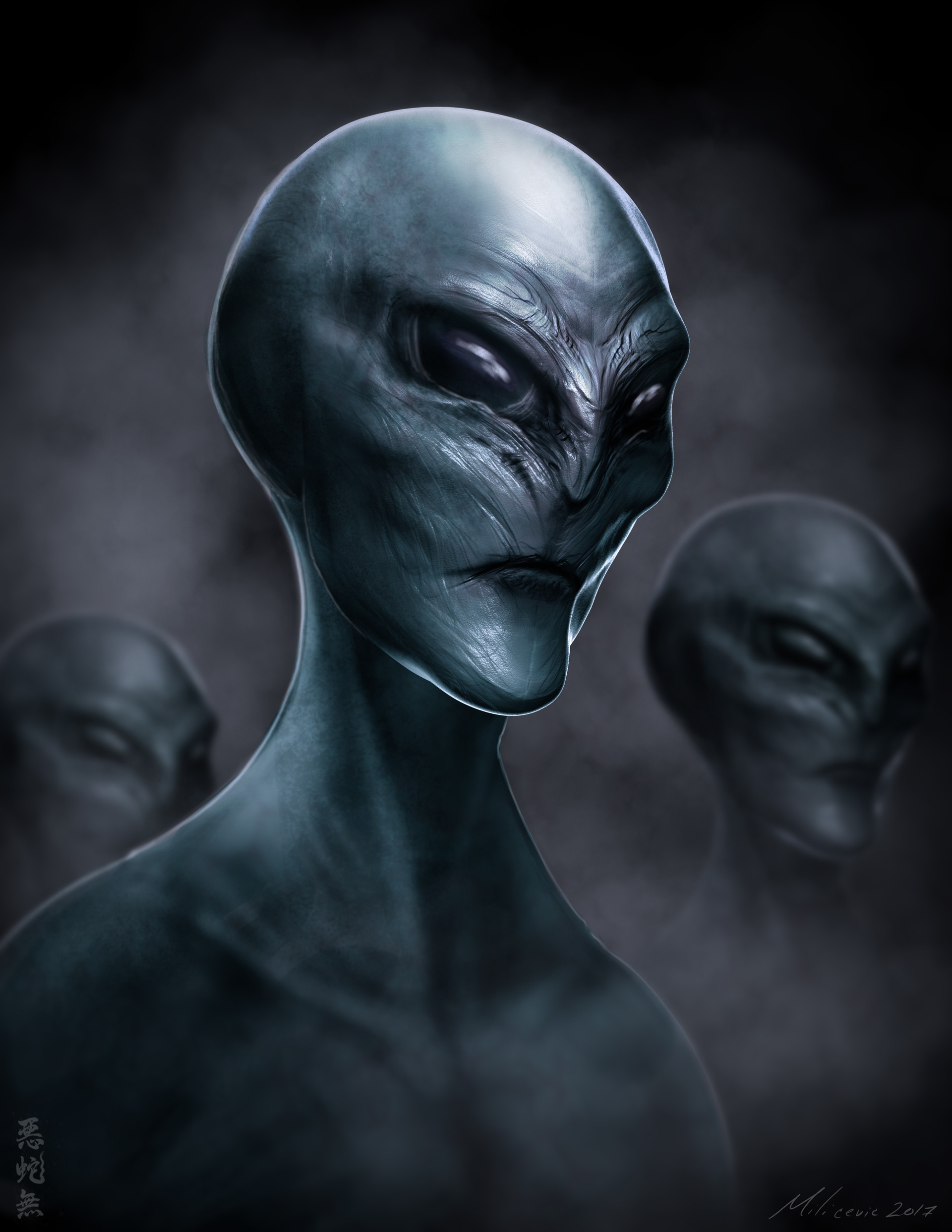 the greys aliens race