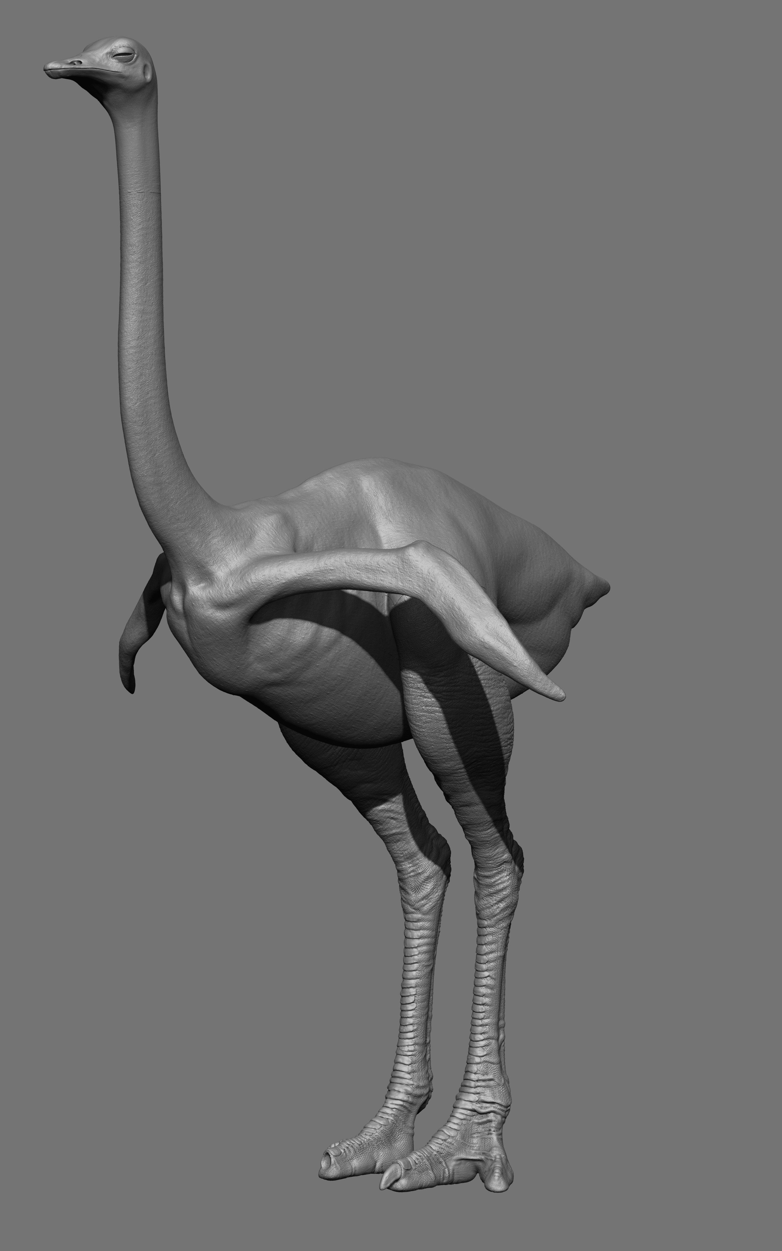 Jeremy Celeste from TexturingXYZ permitted us to have access to some of the upcoming creature displacement packs.