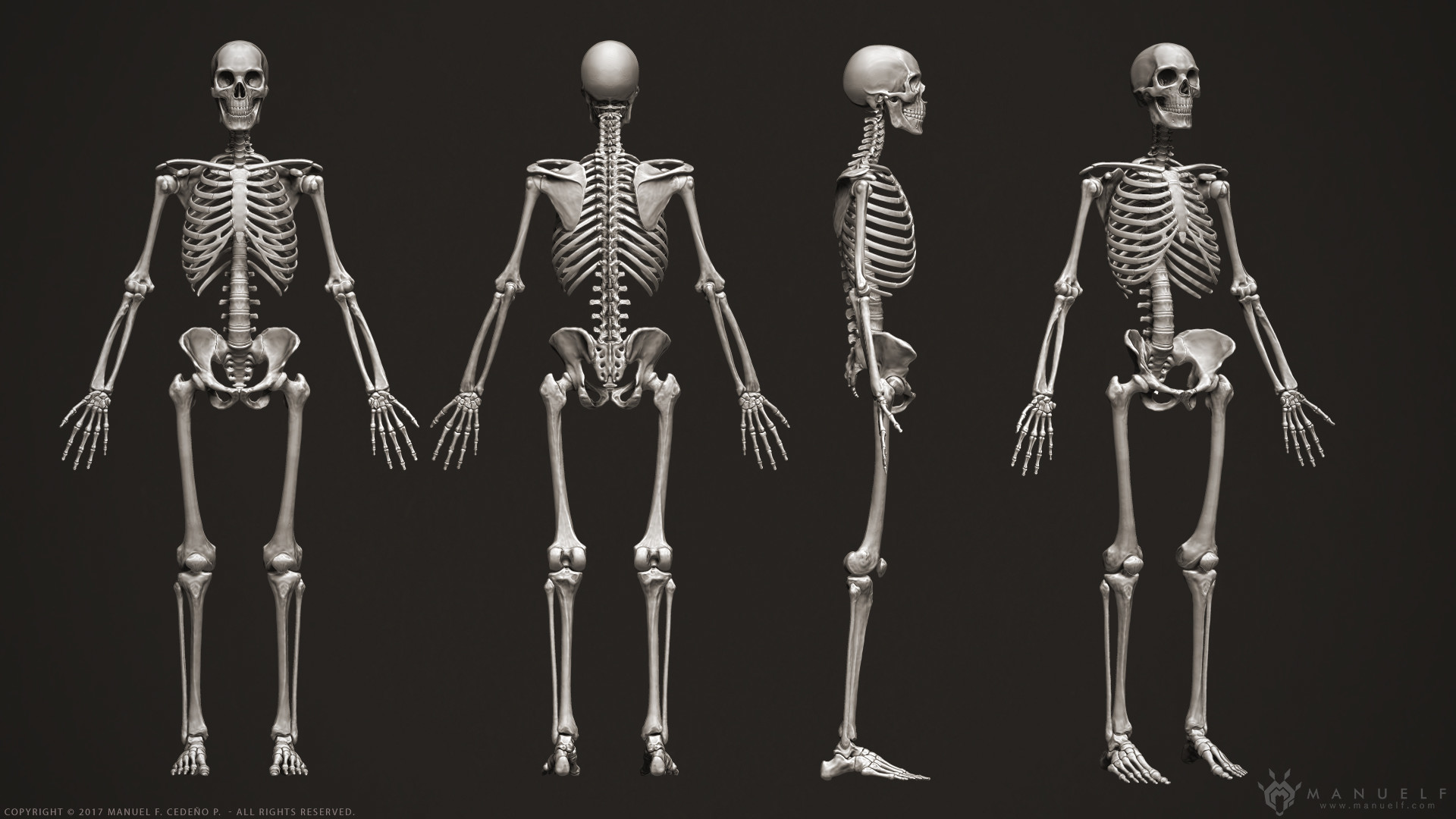Manuel F. Cedeño - 3D Human Skeleton