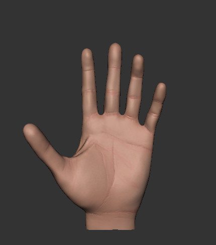 Maya &amp; Mudbox 3D Modeling of my left hand