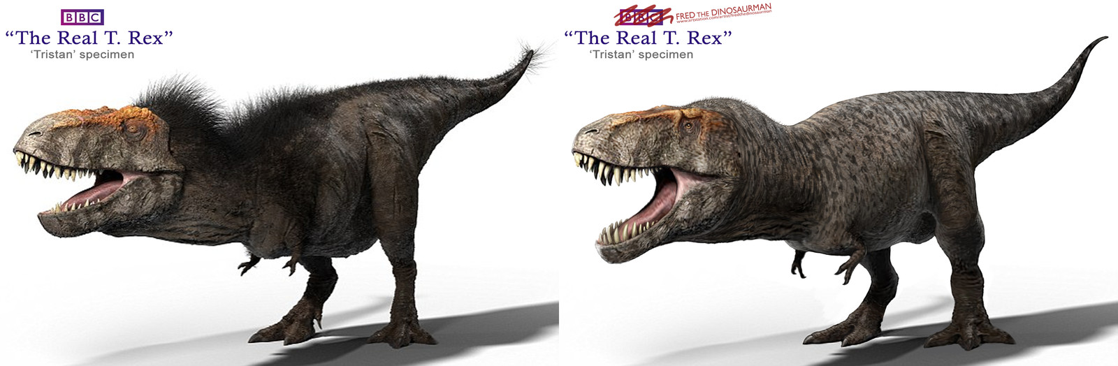 bbc tyrannosaurus rex
