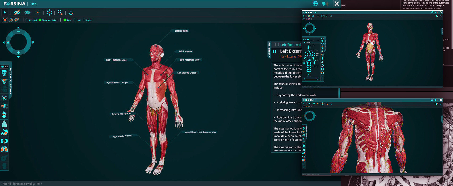 Ahmad Sawalha - Human Anatomy Product UX/UI Design (VR/Desktop)