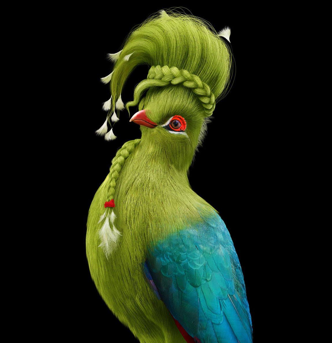 Artstation Cg Turaco Bird For Ads Saeed Rashvand