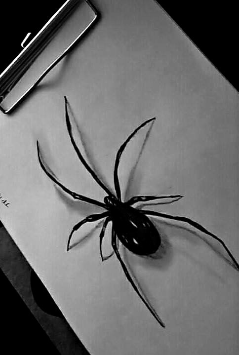 Artstation Spider Sketch 3d Effect Jessica Isabel