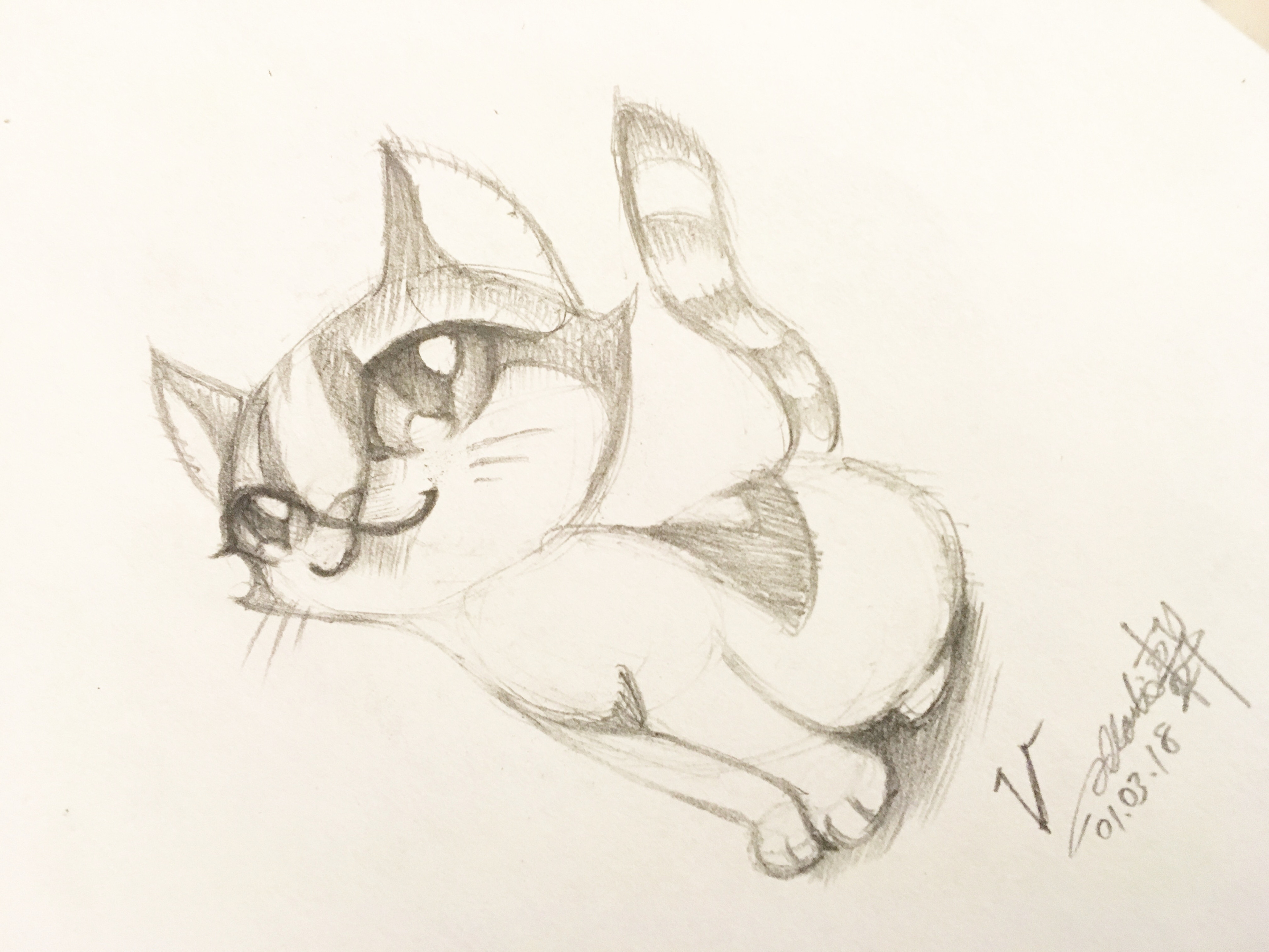 Day #15,105 - Vi the Cat
