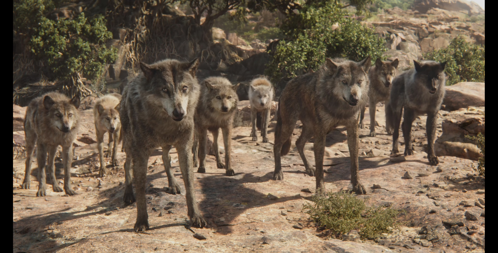 two secondary wolves fur