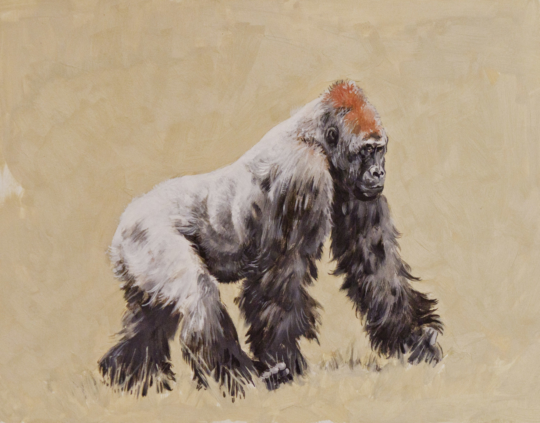 Artstation Animals Paintings And Drawings Richard Marazano