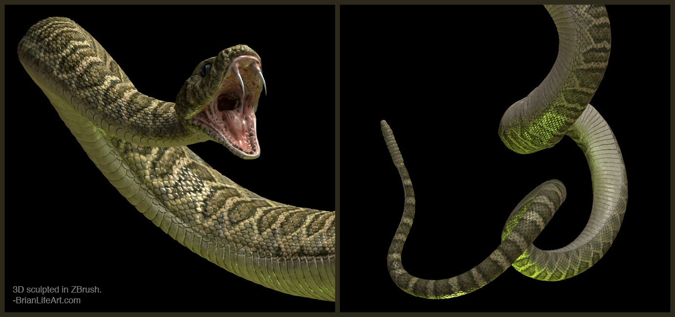 ArtStation - 3D Google Snake (without the snake)