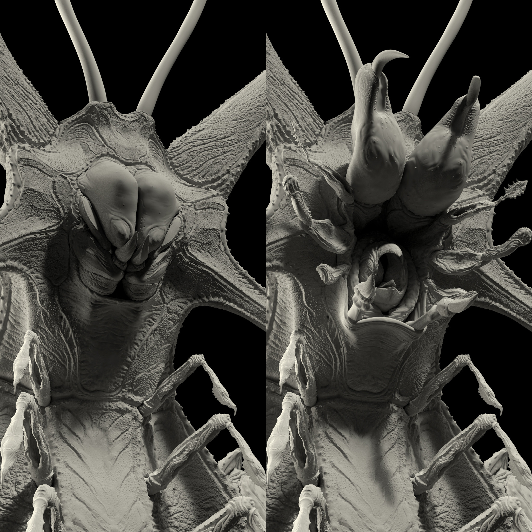 centipede mouth displacement renders