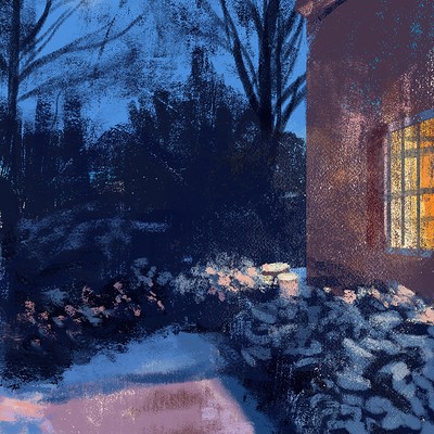 Snowy Night