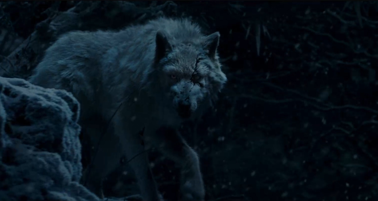 body and muscle shapes and jiggle